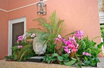 Interiorscape Property 1