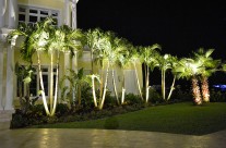 Lighting Project 1