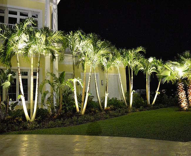 Lighting Project 1